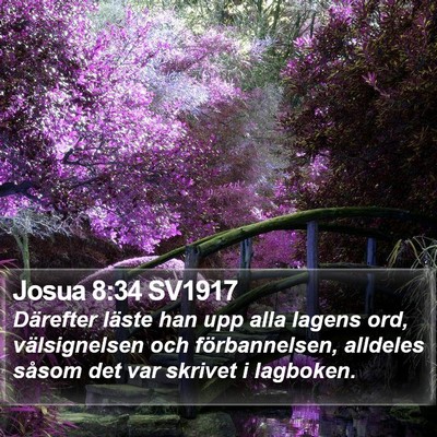 Josua 8:34 SV1917 Bible Verse Image