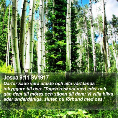 Josua 9:11 SV1917 Bible Verse Image