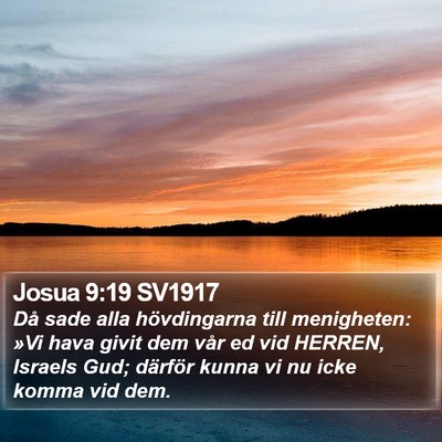 Josua 9:19 SV1917 Bible Verse Image