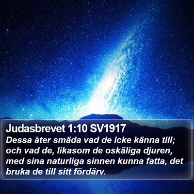 Judasbrevet 1:10 SV1917 Bible Verse Image