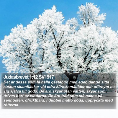 Judasbrevet 1:12 SV1917 Bible Verse Image