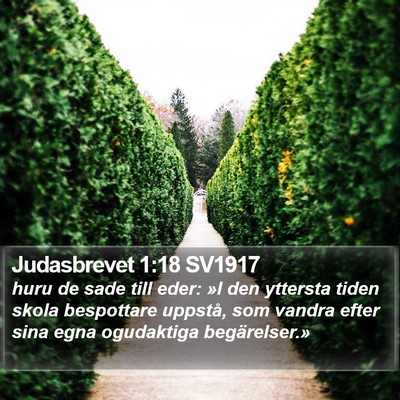 Judasbrevet 1:18 SV1917 Bible Verse Image
