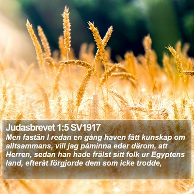 Judasbrevet 1:5 SV1917 Bible Verse Image