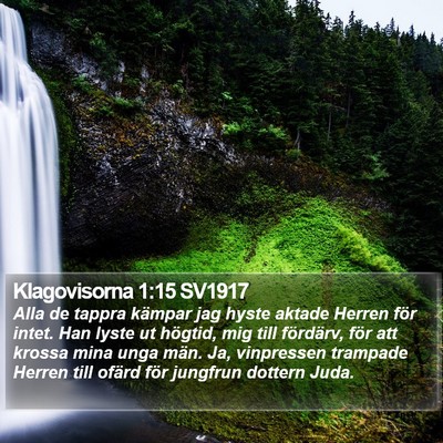 Klagovisorna 1:15 SV1917 Bible Verse Image