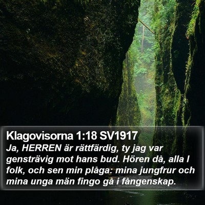 Klagovisorna 1:18 SV1917 Bible Verse Image