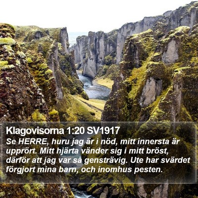 Klagovisorna 1:20 SV1917 Bible Verse Image