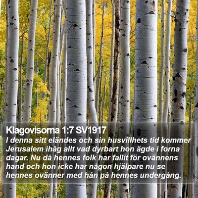 Klagovisorna 1:7 SV1917 Bible Verse Image