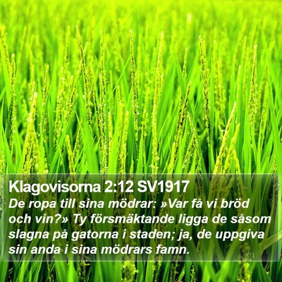 Klagovisorna 2:12 SV1917 Bible Verse Image