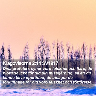 Klagovisorna 2:14 SV1917 Bible Verse Image