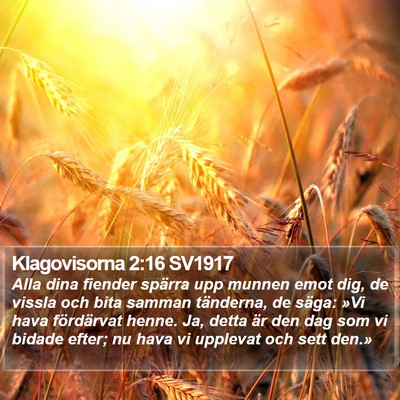 Klagovisorna 2:16 SV1917 Bible Verse Image