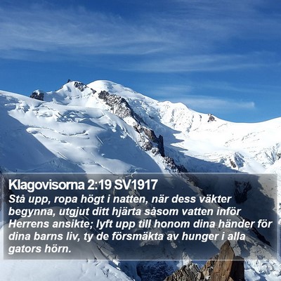 Klagovisorna 2:19 SV1917 Bible Verse Image