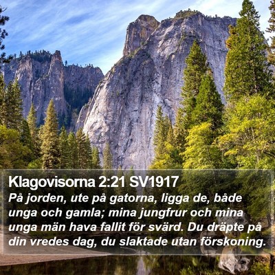 Klagovisorna 2:21 SV1917 Bible Verse Image