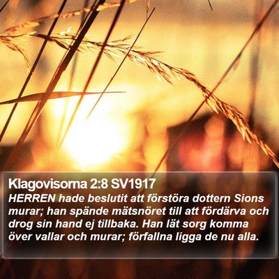 Klagovisorna 2:8 SV1917 Bible Verse Image