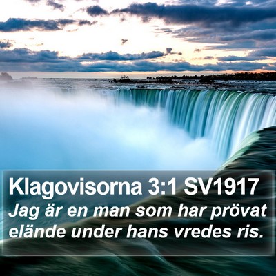 Klagovisorna 3:1 SV1917 Bible Verse Image