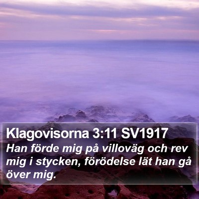 Klagovisorna 3:11 SV1917 Bible Verse Image