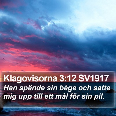 Klagovisorna 3:12 SV1917 Bible Verse Image