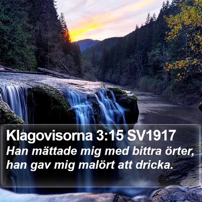 Klagovisorna 3:15 SV1917 Bible Verse Image