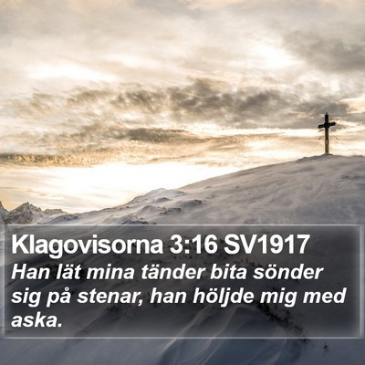 Klagovisorna 3:16 SV1917 Bible Verse Image