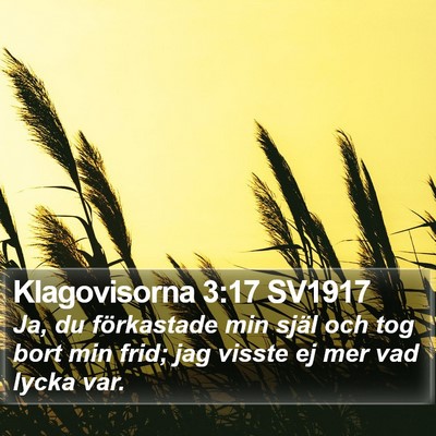 Klagovisorna 3:17 SV1917 Bible Verse Image