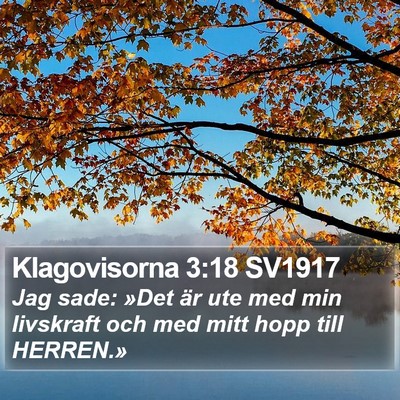Klagovisorna 3:18 SV1917 Bible Verse Image