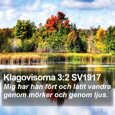 Klagovisorna 3:2 SV1917 Bible Verse Image