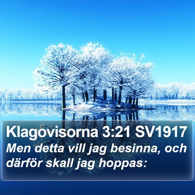 Klagovisorna 3:21 SV1917 Bible Verse Image