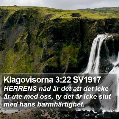 Klagovisorna 3:22 SV1917 Bible Verse Image