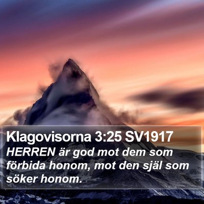 Klagovisorna 3:25 SV1917 Bible Verse Image