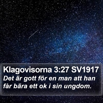 Klagovisorna 3:27 SV1917 Bible Verse Image