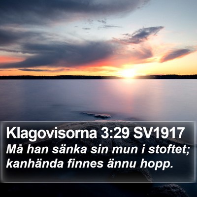 Klagovisorna 3:29 SV1917 Bible Verse Image