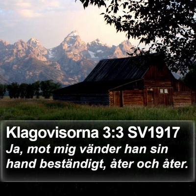 Klagovisorna 3:3 SV1917 Bible Verse Image