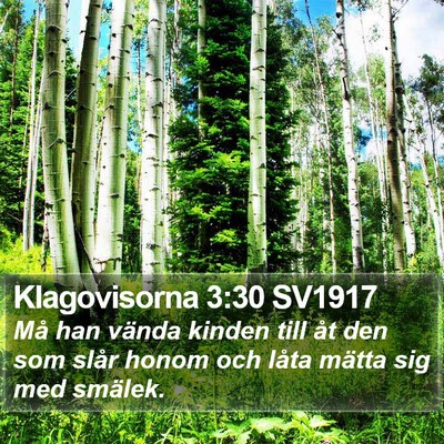 Klagovisorna 3:30 SV1917 Bible Verse Image