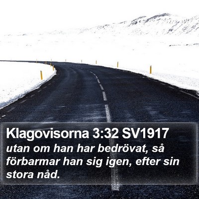 Klagovisorna 3:32 SV1917 Bible Verse Image