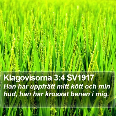 Klagovisorna 3:4 SV1917 Bible Verse Image