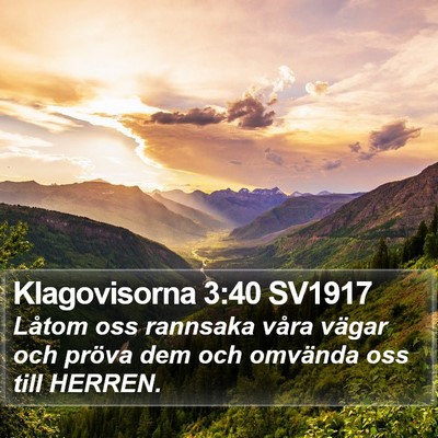 Klagovisorna 3:40 SV1917 Bible Verse Image