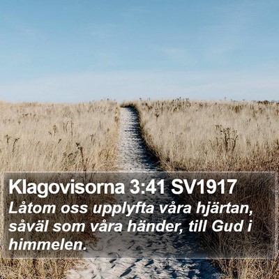 Klagovisorna 3:41 SV1917 Bible Verse Image