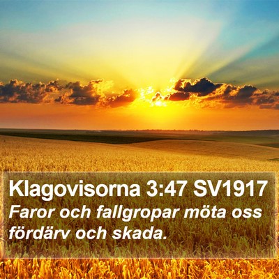 Klagovisorna 3:47 SV1917 Bible Verse Image