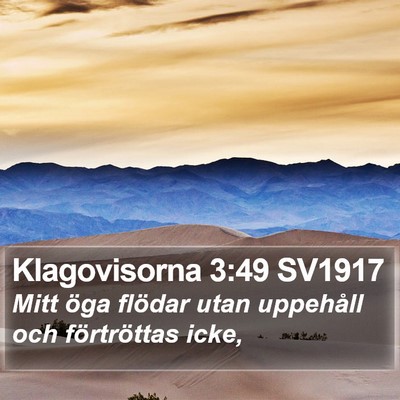 Klagovisorna 3:49 SV1917 Bible Verse Image