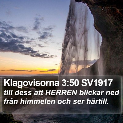 Klagovisorna 3:50 SV1917 Bible Verse Image