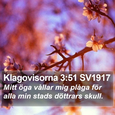 Klagovisorna 3:51 SV1917 Bible Verse Image