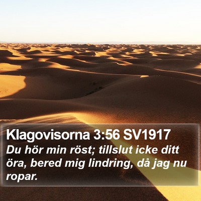 Klagovisorna 3:56 SV1917 Bible Verse Image