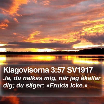 Klagovisorna 3:57 SV1917 Bible Verse Image