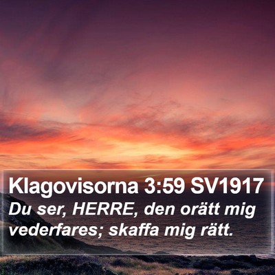 Klagovisorna 3:59 SV1917 Bible Verse Image