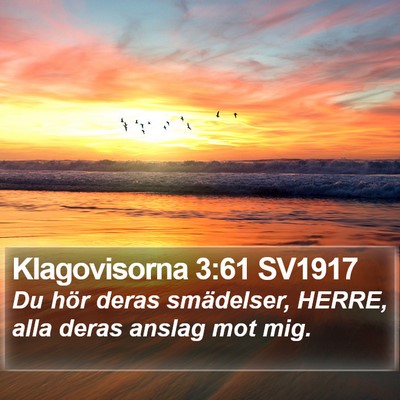Klagovisorna 3:61 SV1917 Bible Verse Image