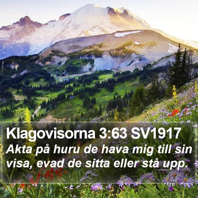 Klagovisorna 3:63 SV1917 Bible Verse Image