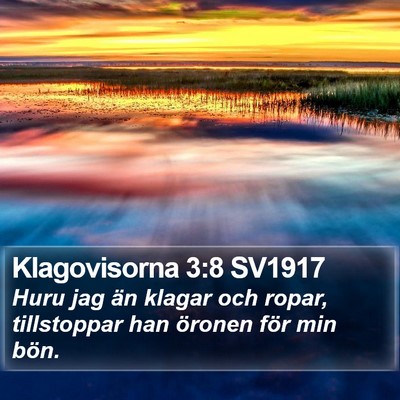 Klagovisorna 3:8 SV1917 Bible Verse Image