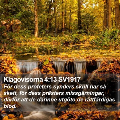 Klagovisorna 4:13 SV1917 Bible Verse Image