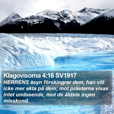 Klagovisorna 4:16 SV1917 Bible Verse Image