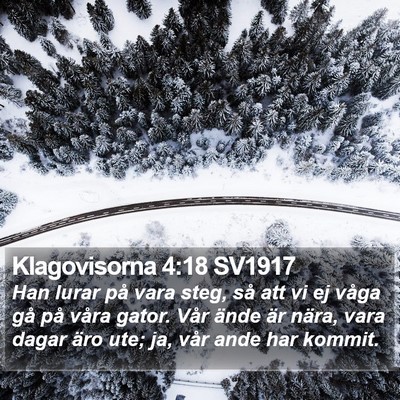 Klagovisorna 4:18 SV1917 Bible Verse Image
