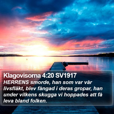 Klagovisorna 4:20 SV1917 Bible Verse Image
